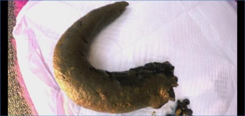 Femdom Toilet Slave: Blonde GoddessPoo in UltraHD 4K – Scat-Slaves poster