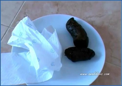 Ana Didovic Delivers Intense Scat and Anal Performance in SiteRip Download – Scat-Slaves poster