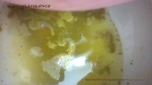 Diarrhea In The Toilet [FullHD 1080p] Milf, Solo (Scatshop) – Scat-Slaves poster