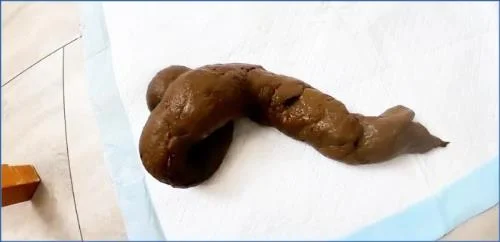 Pulsifer Paprocki – Scared Shitless 5 Day Post-op Shit Scat, Piss [FullHD 1080p / 2025] 556.01 MB – Scat-Slaves poster