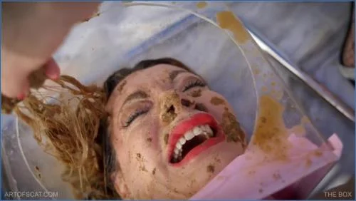 Artof Scat – THE BOX Scat, Piss [FullHD 1080p / 2024] 2.01 GB – Scat-Slaves poster