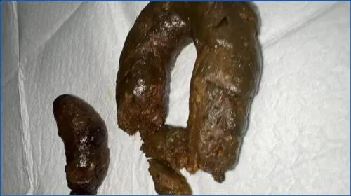 Download Kaviar and Watersports Segment Featuring Miss Raines Scat, Anal [HD 720p / 2025] 50.98 MB Scat-Slaves.net