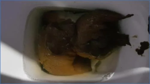 Download Take Your Xmas Shit Scat, Fart [FullHD 1080p / 2019] 495.85 MB Scat-Slaves.net