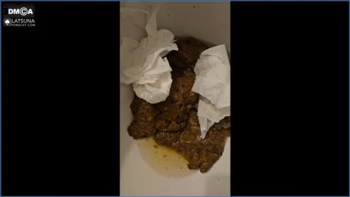 Toilet Miracle Scat, Anal [FullHD 1080p / 2024] 465.53 MB – Scat-Slaves poster