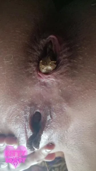 Festival Constipation [SD] Big Shit, Solo (Scatbook.com)