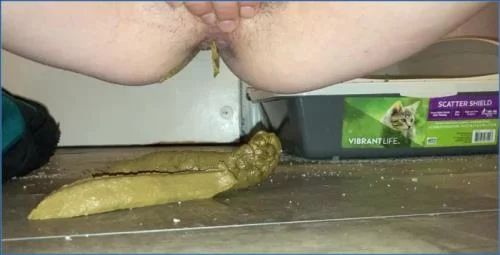 Missellie Voyeur Fetish: Extreme Scat and Anal Masturbation Download in FullHD – Scat-Slaves poster