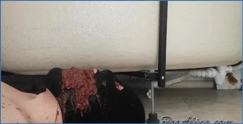 Download Alina's Toilet Slave Endures Explosive Diarrhea in Russian Scat Domination Scat-Slaves.net
