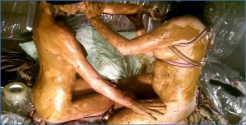 Download AstraCelestial Extreme Scat Orgy Part 4: Lezdom Fetish and Dirty Talking in FullHD Scat-Slaves.net