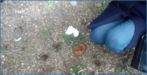 Alina's Dominant Outdoor Fetish in Autumn - related scat video at Scat-Fetish