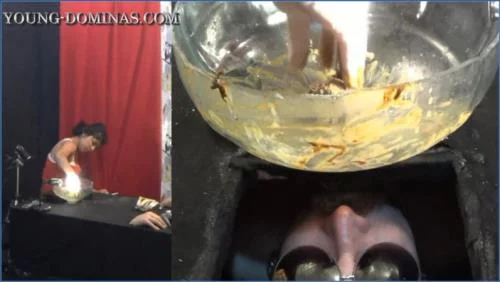 Mistress Scat- Stupid Slaves Receive Black Box Poop and Golden Shower - related scat video at Scat-Fetish