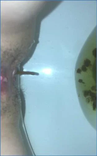 Missellie indulges in extreme scat and pissing fetish clips alone - scat porn video at Scat-Fetish.com