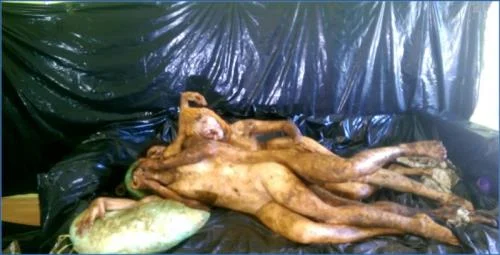 AstraCelestial and FireFly Aria Extreme Scat Orgy Part 5 in FullHD – Scat-Slaves poster