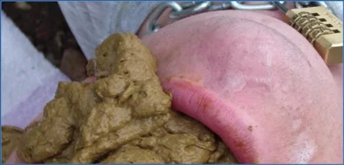 MilanaSmelly's Extreme Beach Scat Party with Puke Fetish and Copro Food – Scat-Slaves poster