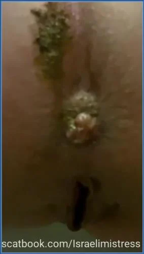 Best lunch for my toilet bitches Scat, Pissing [SiteRip / 2025] 8.94 MB – Scat-Slaves poster