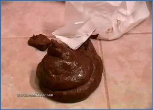 Ana Didovic, Santara in Authentic Netherlands Clay and Concrete Action - scat porn video at Scat-Fetish.com