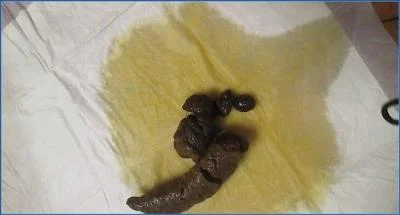 Katastrophic's Solo Dildo Action with Shit and Pee in Washington - scat porn video at Scat-Fetish.com