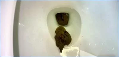 Pulsifer Paprocki - 14 Shits in February: Outdoor Solo Smearing - popular scat video at Scat-Fetish