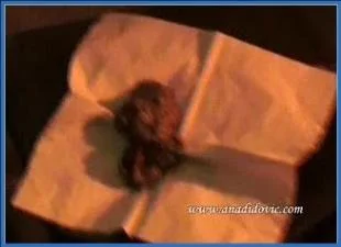 Ana Didovic Shits and Smears in a Wild Living Room Scat Set - popular scat video at Scat-Fetish