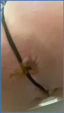 Scat Princess Dominates with Golden Showers and Shit Covered Kaviar - popular scat video at Scat-Fetish