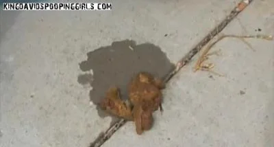 Alina Takes Her Dirty Joy Outdoors with a Scat and Piss Release - scat porn video at Scat-Fetish.com