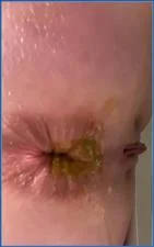Foxness in Ass to Mouth Scat Porn with Peeing and Gaping Action - scat porn video at Scat-Fetish.com