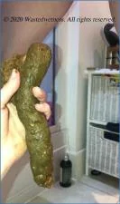 Wastedwetness in Wife's Huge Surprise Shit: A hardcore Scat and Pissing video with Dildos and Toys - related scat video at Scat-Fetish