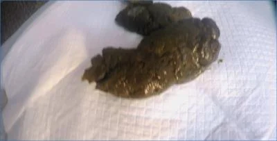 LoveRachelle2 Engages in Dirty Talking and Verbal Humiliation While Pushing 3 Hard Turds - scat porn video at Scat-Fetish.com