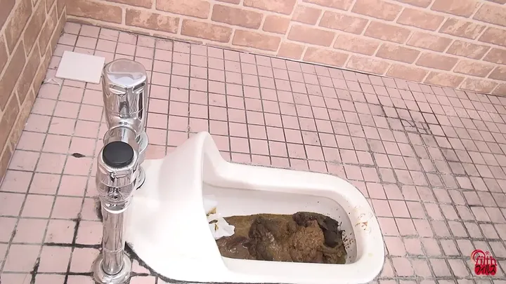 Stinky Poops and Clogged Toilets: Japanese Scat Release for Nasty Fans - scat porn video at Scat-Fetish.com