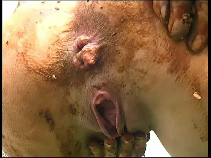German Kaviar Solo and Group Defecation Spree - scat - scat porn video at Scat-Fetish.com