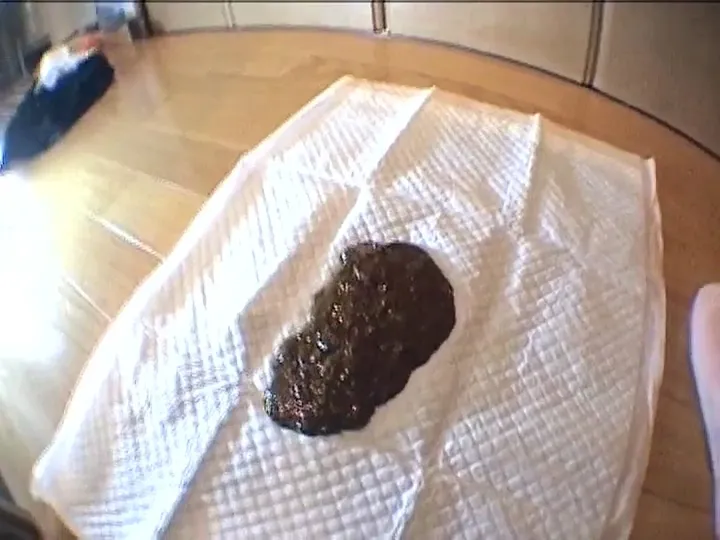 Japanese Kaviar Grind: A Long, Steady Stream of Messy Scat - scat porn video at Scat-Fetish.com