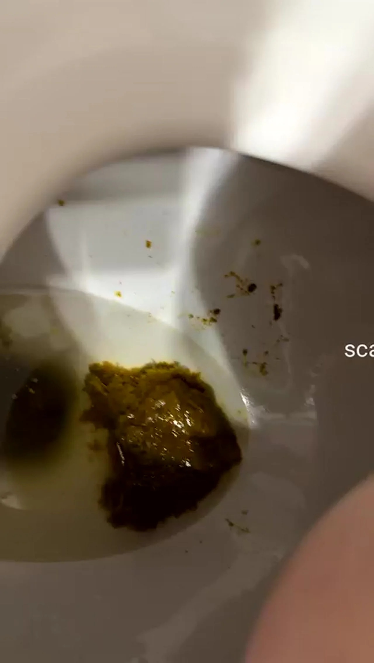 SaraBee's Quick Fetish Tease in Solo Scat Play - scat porn video at Scat-Fetish.com